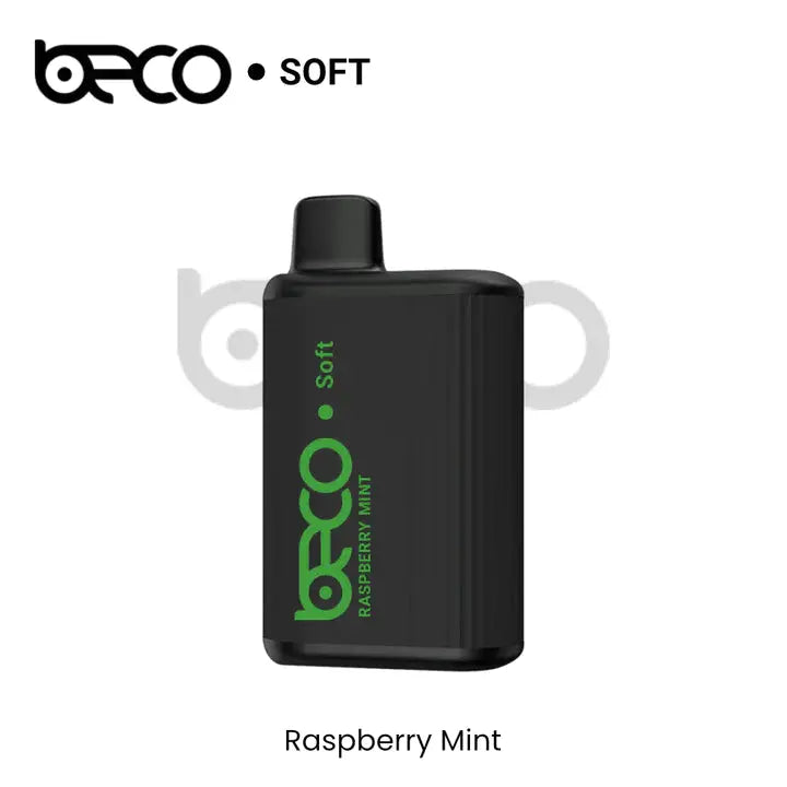 BECO - soft DISPOSABLE VAPE 6000 PUFFS